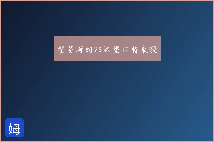 霍芬海姆vs汉堡门将表现